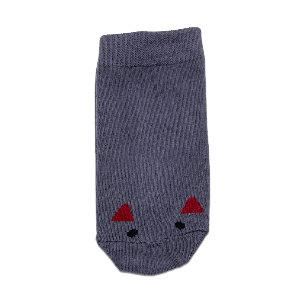 Noomba Socks