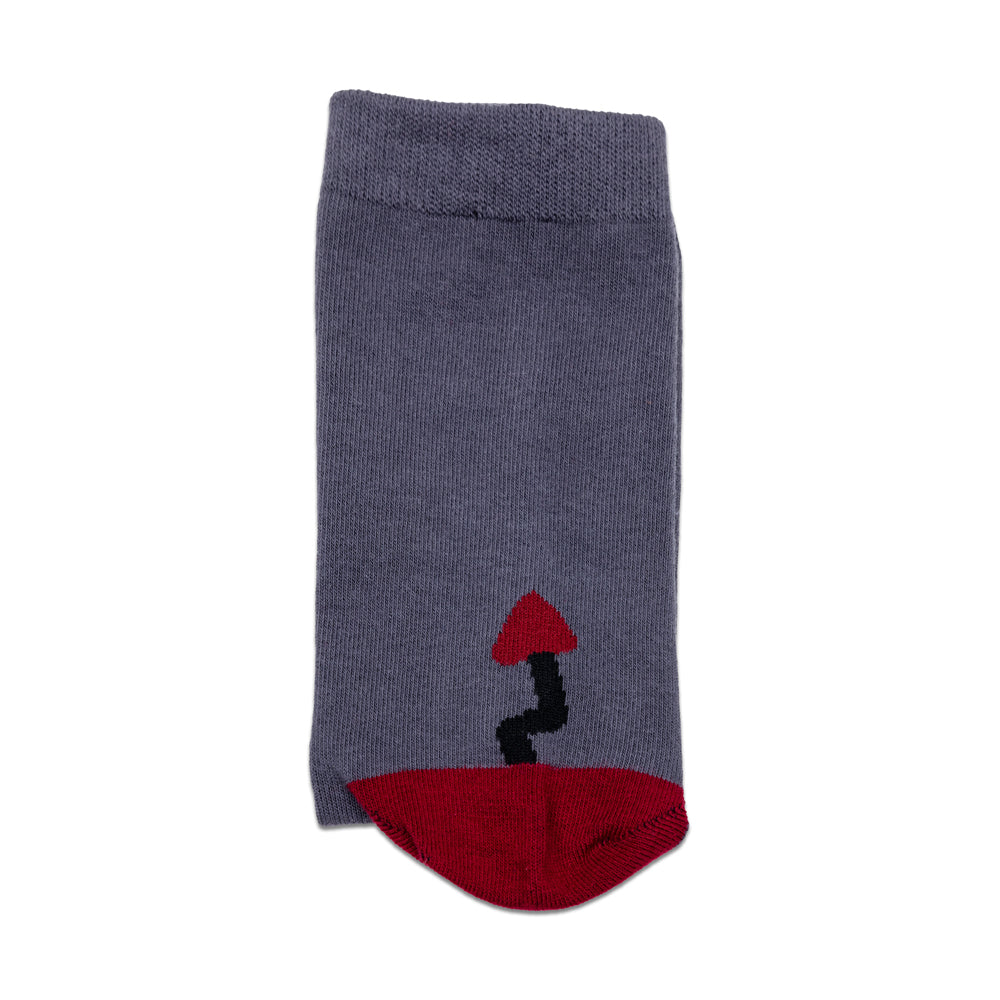 Noomba Socks