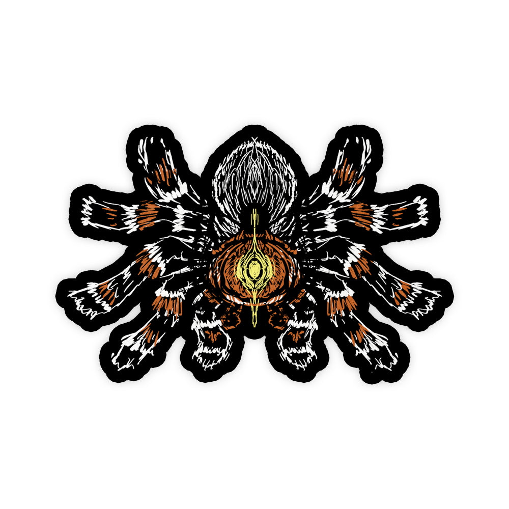 xcreepi the Red Knee Tarantula Rug